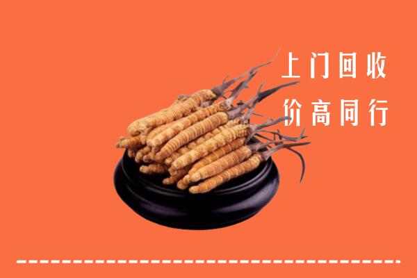 个旧市回收散虫草