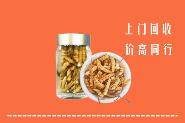 个旧市回收冬虫夏草